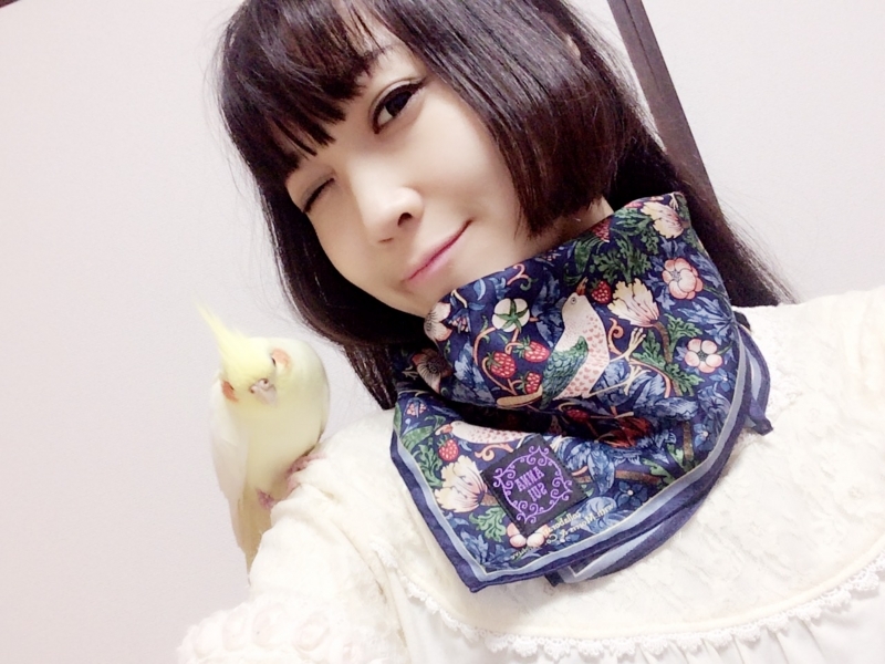 f:id:aiamdolly:20180609191454j:image:w360