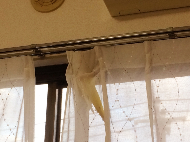 f:id:aiamdolly:20180613182235j:image:w500