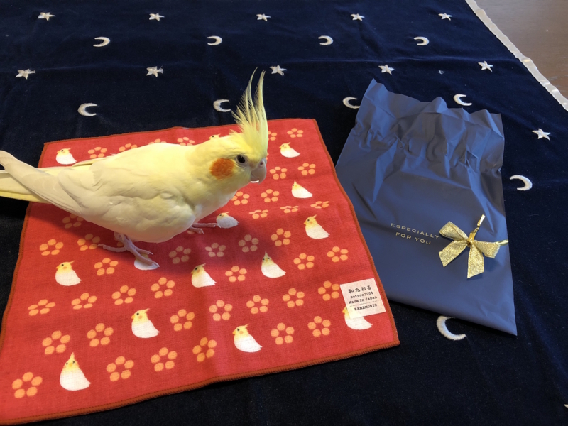 f:id:aiamdolly:20180704173204j:image:w500