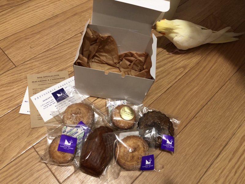 f:id:aiamdolly:20180708212144j:image:w500