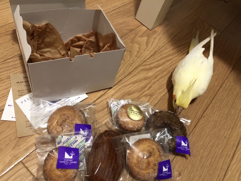 f:id:aiamdolly:20180708212200j:image:w500