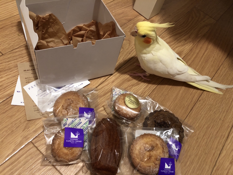 f:id:aiamdolly:20180708212216j:image:w500