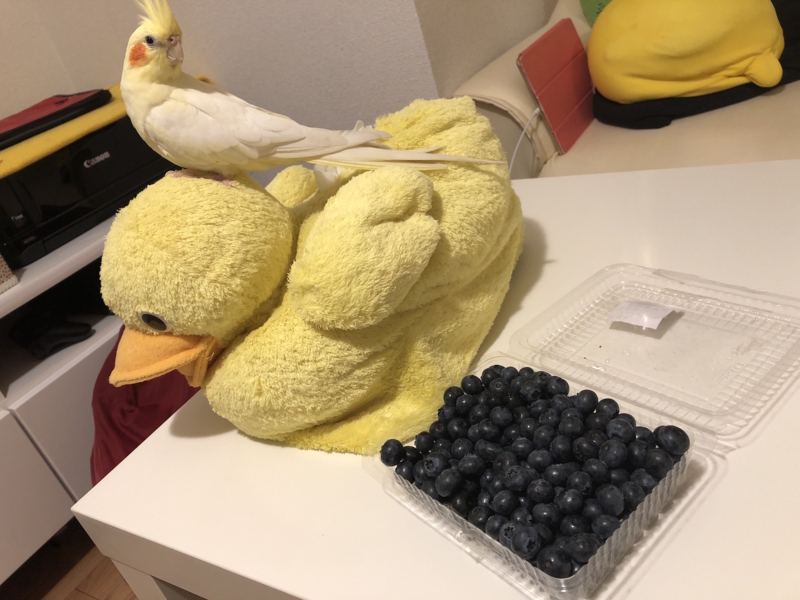 f:id:aiamdolly:20180720225546j:image:w500