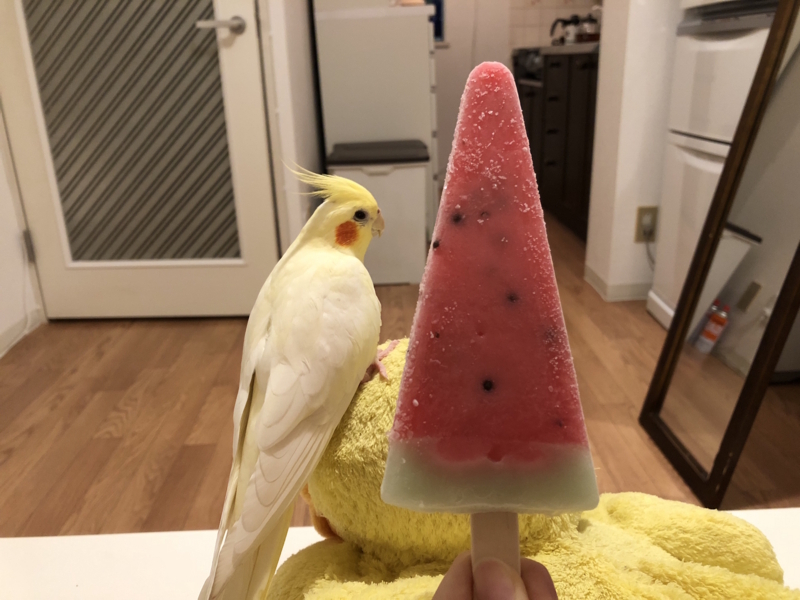 f:id:aiamdolly:20180729231600j:image:w500