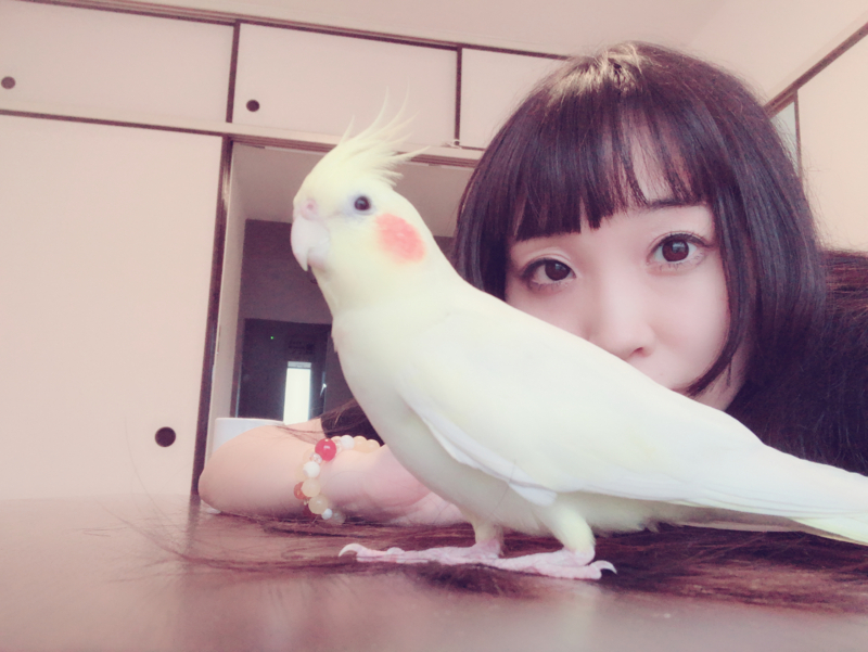 f:id:aiamdolly:20180804171556j:image:w500