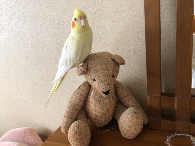 f:id:aiamdolly:20180806102940j:image:w500 f:id:aiamdolly:20180806102940j:image:w500