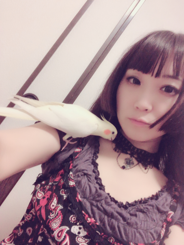 f:id:aiamdolly:20180827012847j:image:w360